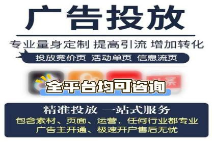 竞价广告的投放策略与效果评估——以一成功企业为例